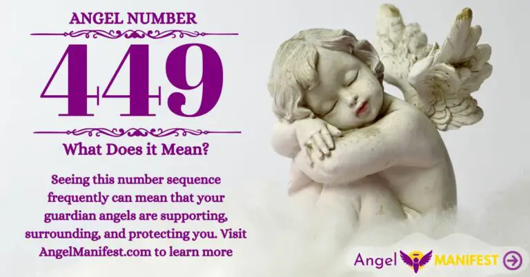 numerology number 449