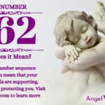 numerology number 462