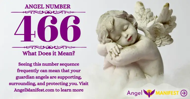 numerology number 466