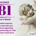 numerology number 481