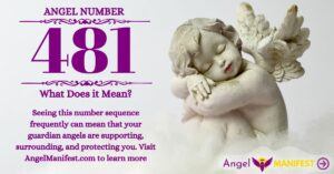 numerology number 481