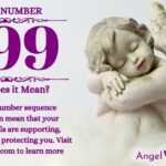 numerology number 499