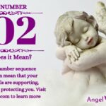 numerology number 502