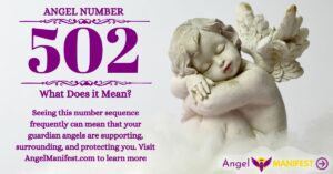 numerology number 502