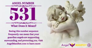 numerology number 531