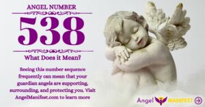 numerology number 538