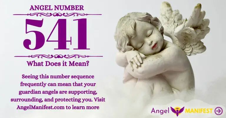 numerology number 541