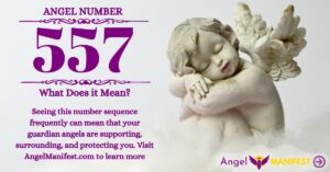 numerology number 557