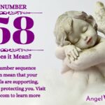 numerology number 558