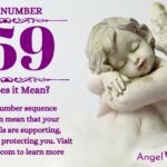 numerology number 559