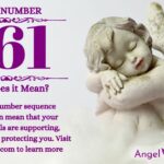 numerology number 561