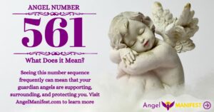 numerology number 561