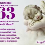 numerology number 563