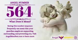 numerology number 564