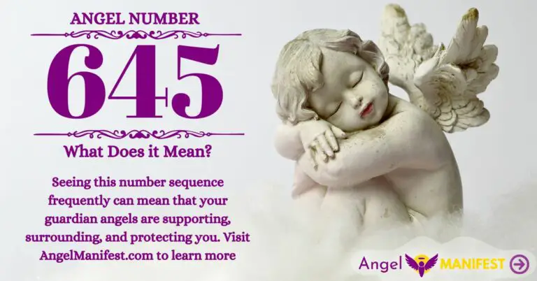 Angel Number 645 Meaning  Reasons why you are seeing  Angel Manifest