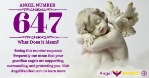 numerology number 647