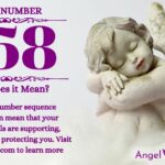 numerology number 658