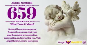 numerology number 659