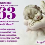 numerology number 663