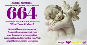 numerology number 664