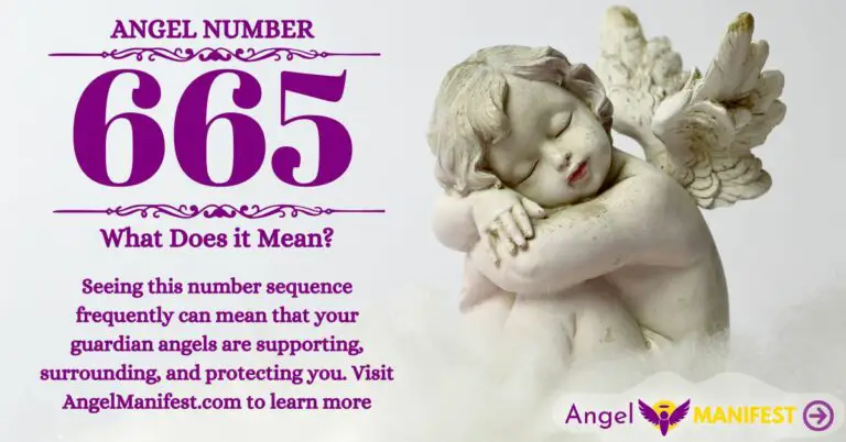 numerology number 665