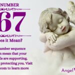 numerology number 667