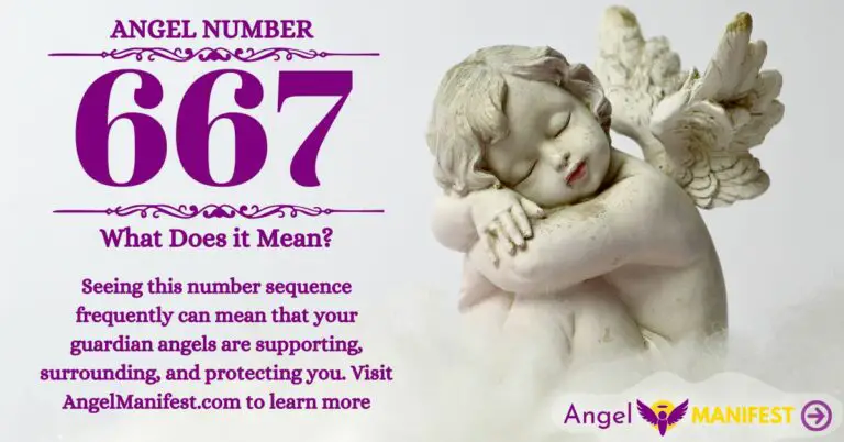 numerology number 667