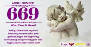 numerology number 669