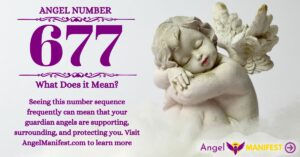 numerology number 677