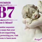 numerology number 687