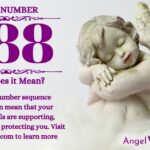 numerology number 688