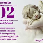 numerology number 702
