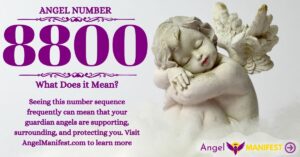 numerology number 8800