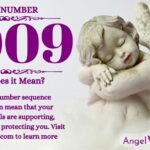 numerology number 9009