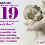 numerology number 9119