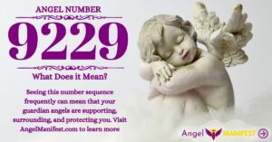 numerology number 9229