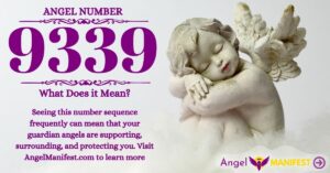 numerology number 9339