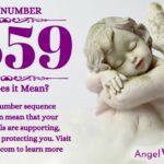 numerology number 9559