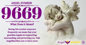numerology number 9669