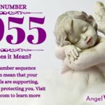 numerology number 9955