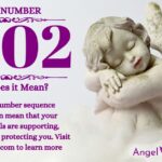 numerology number 1002