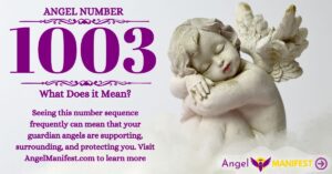 numerology number 1003