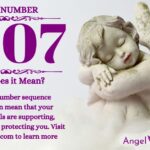 numerology number 1007