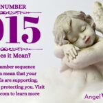 numerology number 1015