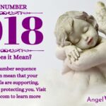 numerology number 1018
