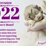 numerology number 1022