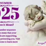 numerology number 1025