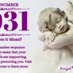numerology number 1031