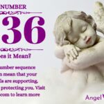 numerology number 1036