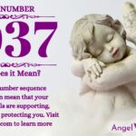 numerology number 1037